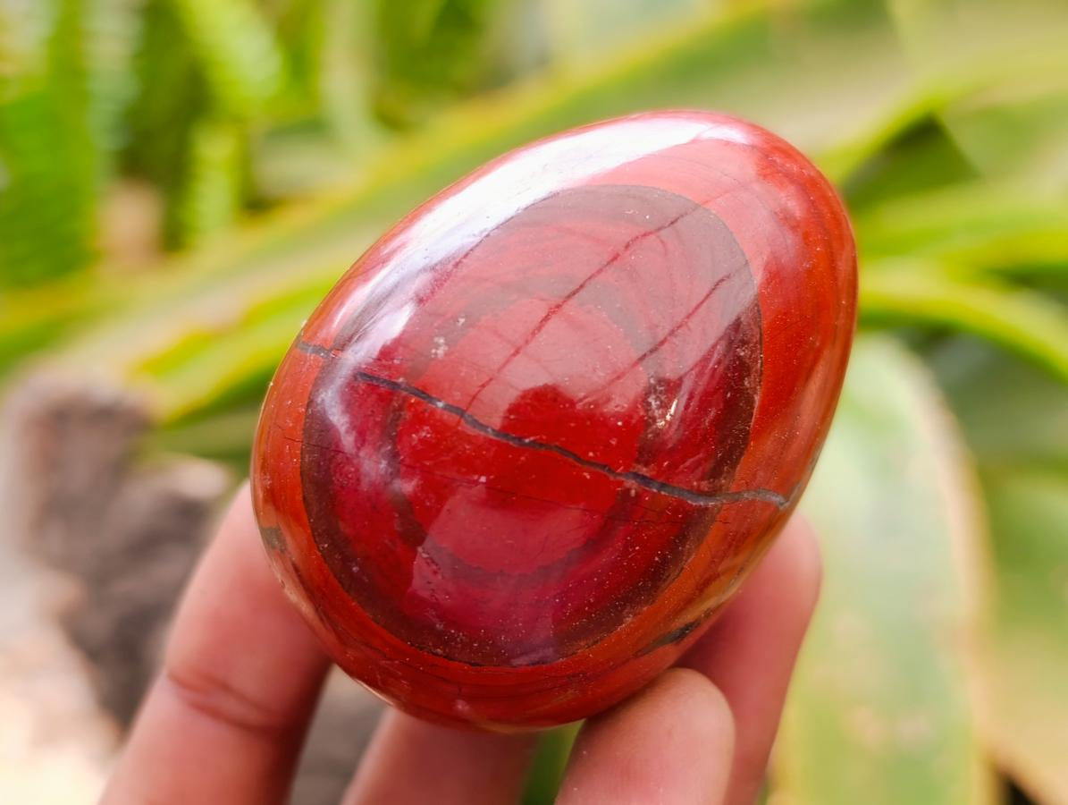 Polished Red Jasper Eggs x 12 From Madagascar