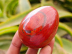 Polished Red Jasper Eggs x 12 From Madagascar