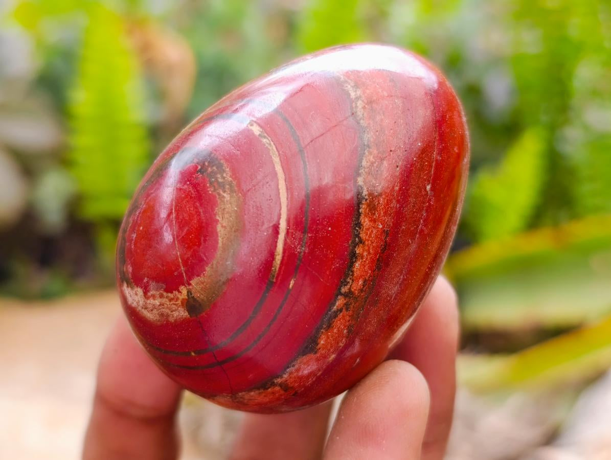 Polished Red Jasper Eggs x 12 From Madagascar