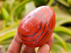 Polished Red Jasper Eggs x 12 From Madagascar