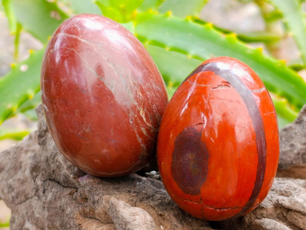 Polished Red Jasper Eggs x 12 From Madagascar