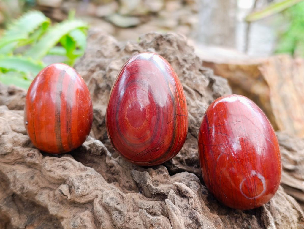 Polished Red Jasper Eggs x 12 From Madagascar