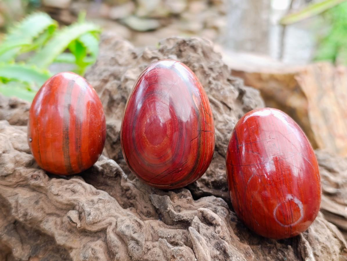 Polished Red Jasper Eggs x 12 From Madagascar