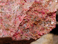 Natural Large Rhodonite Cobbed Specimen x 1 From Rhusinga, Zimbabwe