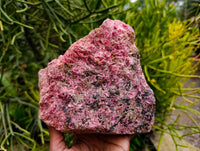 Natural Large Rhodonite Cobbed Specimen x 1 From Rhusinga, Zimbabwe