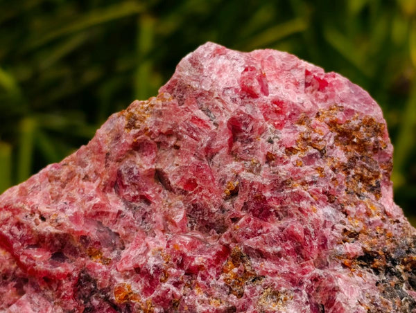 Natural Large Rhodonite Cobbed Specimen x 1 From Rhusinga, Zimbabwe