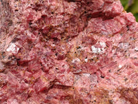 Natural Large Rhodonite Cobbed Specimen x 1 From Rhusinga, Zimbabwe