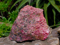 Natural Large Rhodonite Cobbed Specimen x 1 From Rhusinga, Zimbabwe