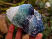Natural Watermelon Fluorite Cobbed Specimens x 12 From Uis, Namibia