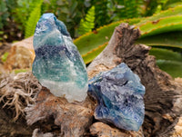 Natural Watermelon Fluorite Cobbed Specimens x 12 From Uis, Namibia