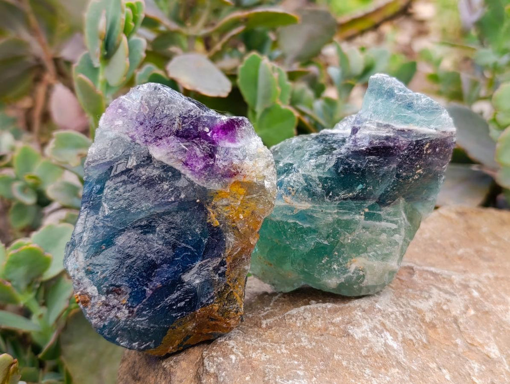 Natural Watermelon Fluorite Cobbed Specimens x 12 From Uis, Namibia