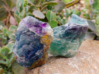 Natural Watermelon Fluorite Cobbed Specimens x 12 From Uis, Namibia