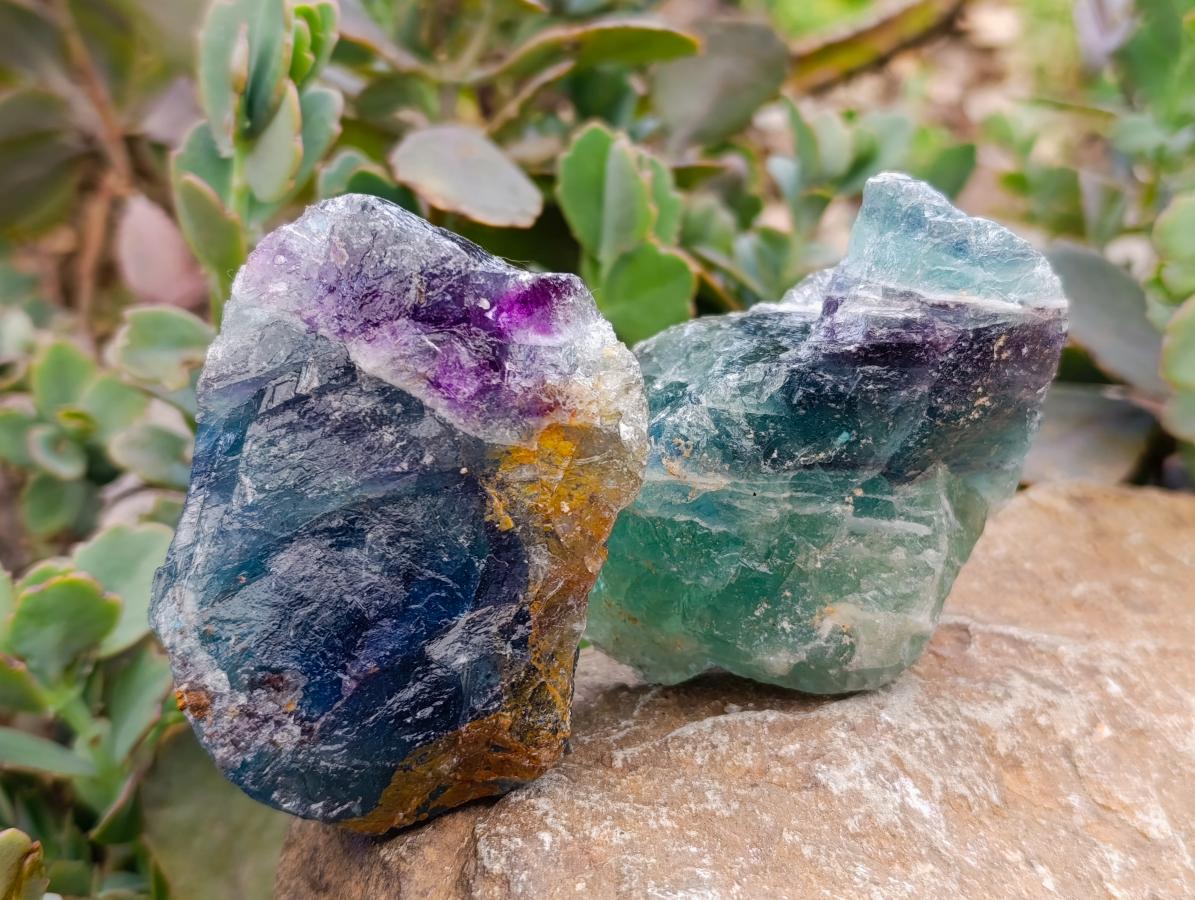 Natural Watermelon Fluorite Cobbed Specimens x 12 From Uis, Namibia