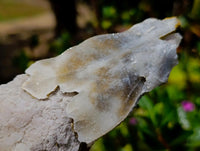 Natural Large Drusy Quartz Coated Spearhead Calcite Specimens x 4 From Alberts Mountain, Lesotho