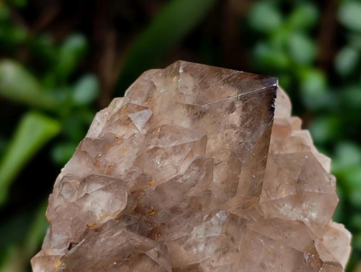 Natural Smokey Phantom Quartz Clusters x 3 From Luena, Congo