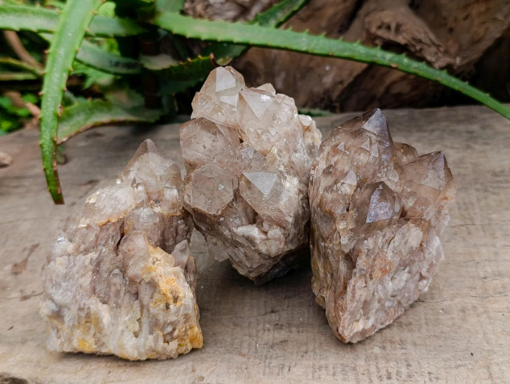 Natural Smokey Phantom Quartz Clusters x 3 From Luena, Congo