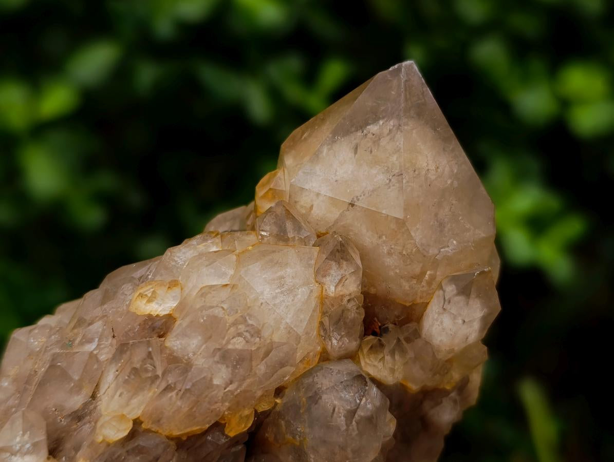 Natural Smokey Phantom Quartz Clusters x 3 From Luena, Congo