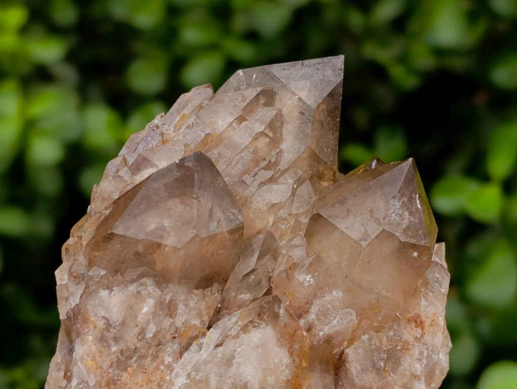 Natural Smokey Phantom Quartz Clusters x 3 From Luena, Congo