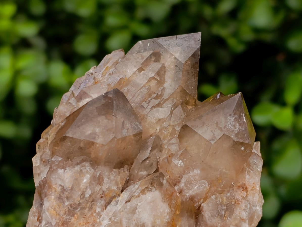 Natural Smokey Phantom Quartz Clusters x 3 From Luena, Congo
