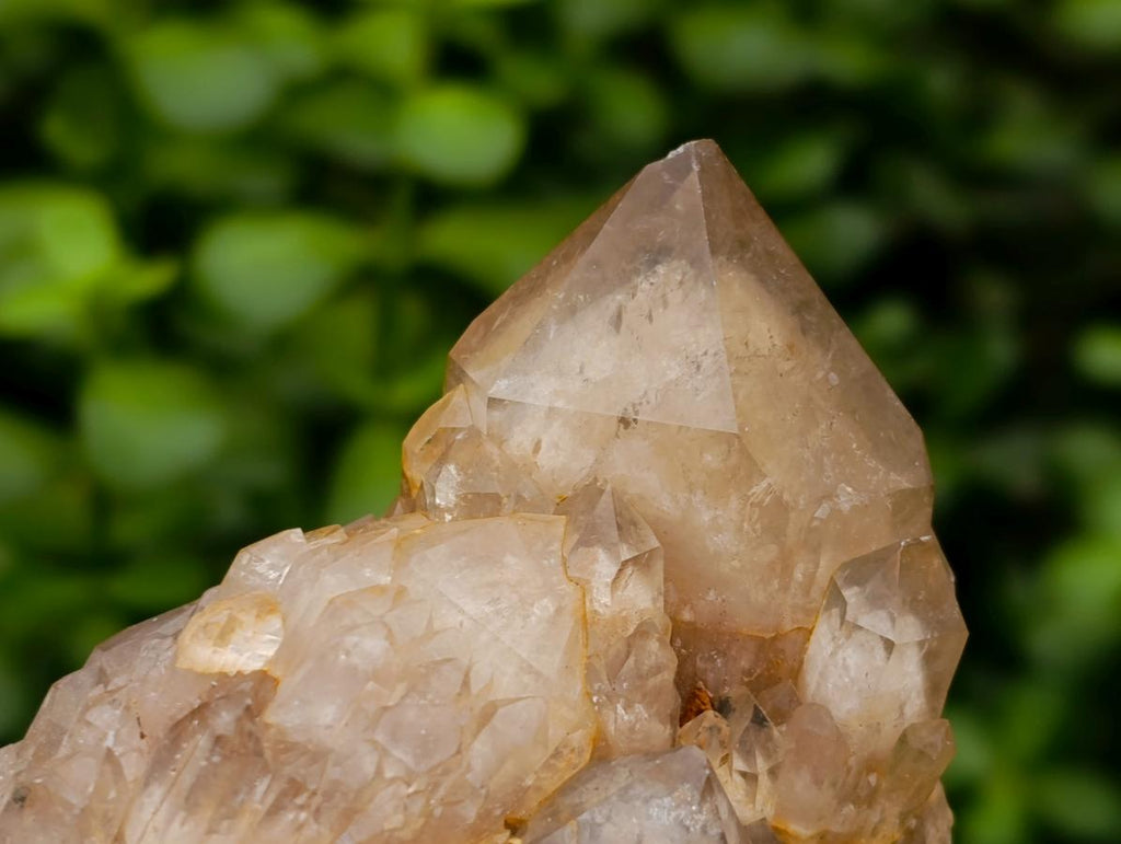 Natural Smokey Phantom Quartz Clusters x 3 From Luena, Congo