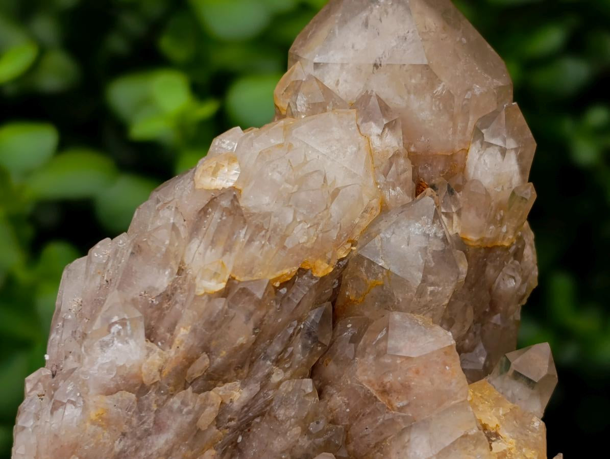 Natural Smokey Phantom Quartz Clusters x 3 From Luena, Congo