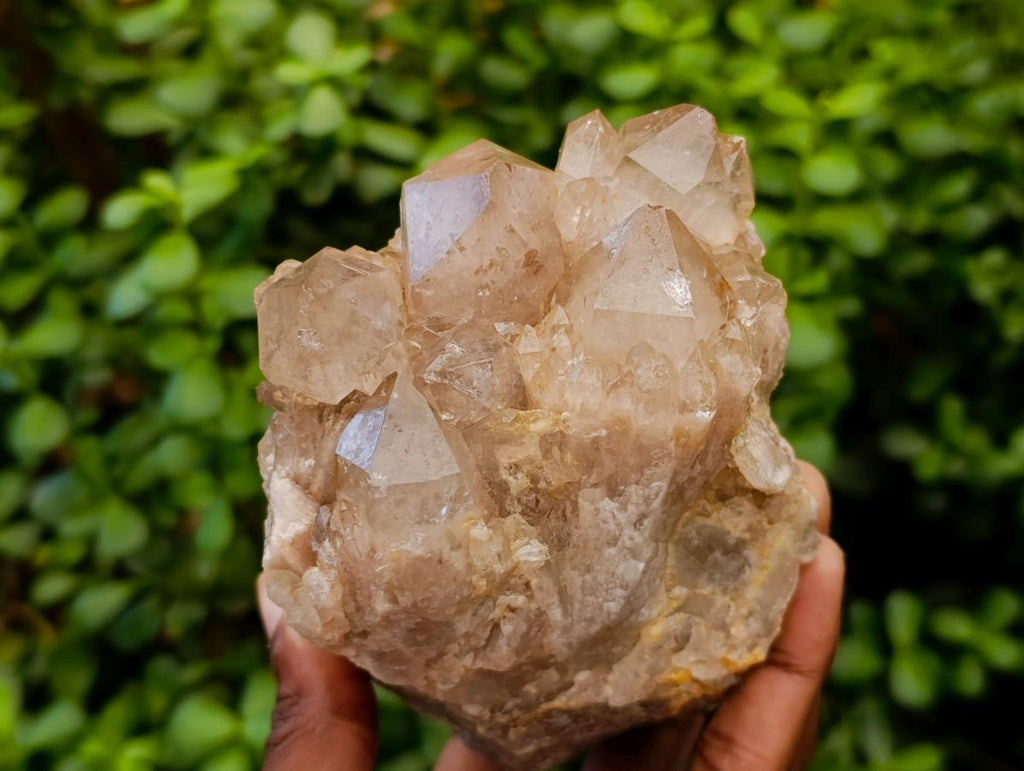 Natural Smokey Phantom Quartz Clusters x 3 From Luena, Congo