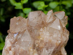 Natural Smokey Phantom Quartz Clusters x 3 From Luena, Congo
