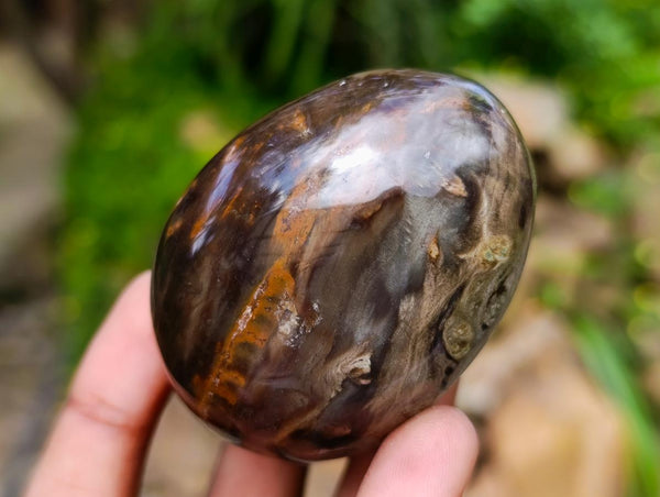Polished Petrified Wood Eggs x 8 From Gokwe, Zimbabwe