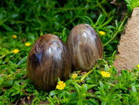 Polished Petrified Wood Eggs x 8 From Gokwe, Zimbabwe