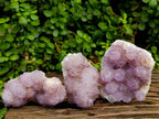 Natural Sunburst Amethyst Spirit Clusters x 3 From Boekenhouthoek, South Africa