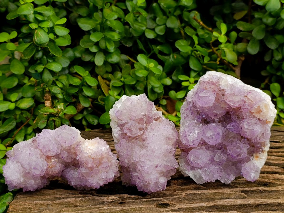 Natural Sunburst Amethyst Spirit Clusters x 3 From Boekenhouthoek, South Africa