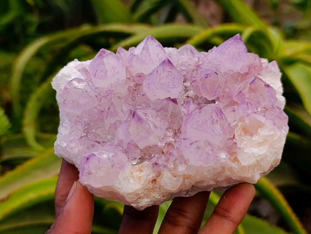 Natural Sunburst Amethyst Spirit Clusters x 3 From Boekenhouthoek, South Africa