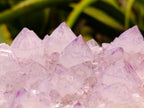 Natural Sunburst Amethyst Spirit Clusters x 3 From Boekenhouthoek, South Africa