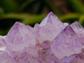 Natural Sunburst Amethyst Spirit Clusters x 3 From Boekenhouthoek, South Africa