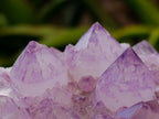 Natural Sunburst Amethyst Spirit Clusters x 3 From Boekenhouthoek, South Africa