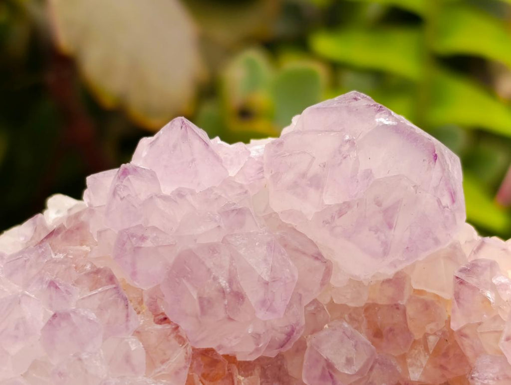Natural Sunburst Amethyst Spirit Clusters x 3 From Boekenhouthoek, South Africa