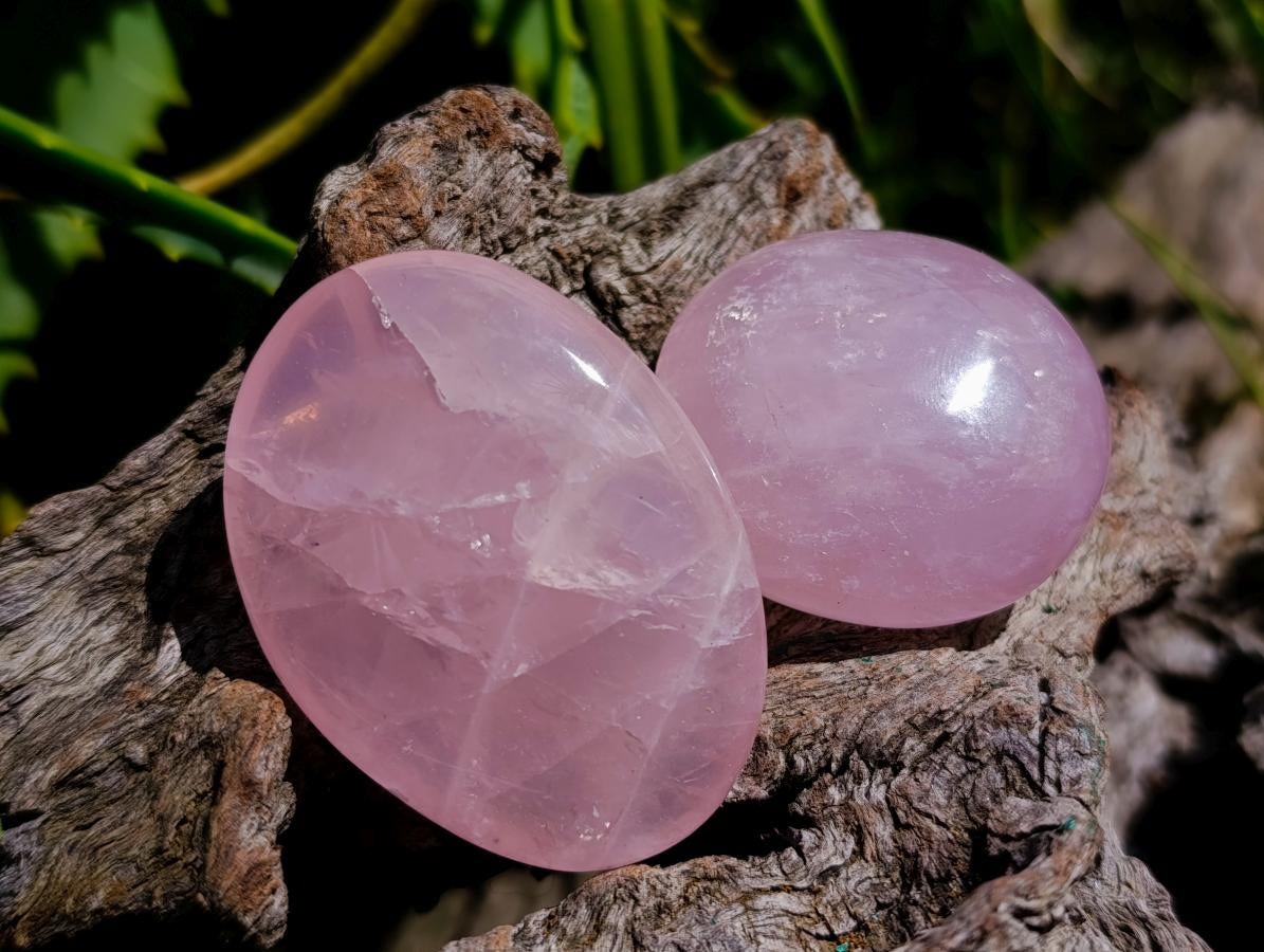 Polished Rose Quartz Palm Stones x 20 From Madagascar