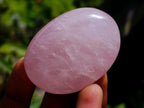 Polished Rose Quartz Palm Stones x 20 From Madagascar