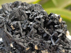 Natural Schorl Black Tourmaline with Vermiculite x 3 From Erongo, Namibia