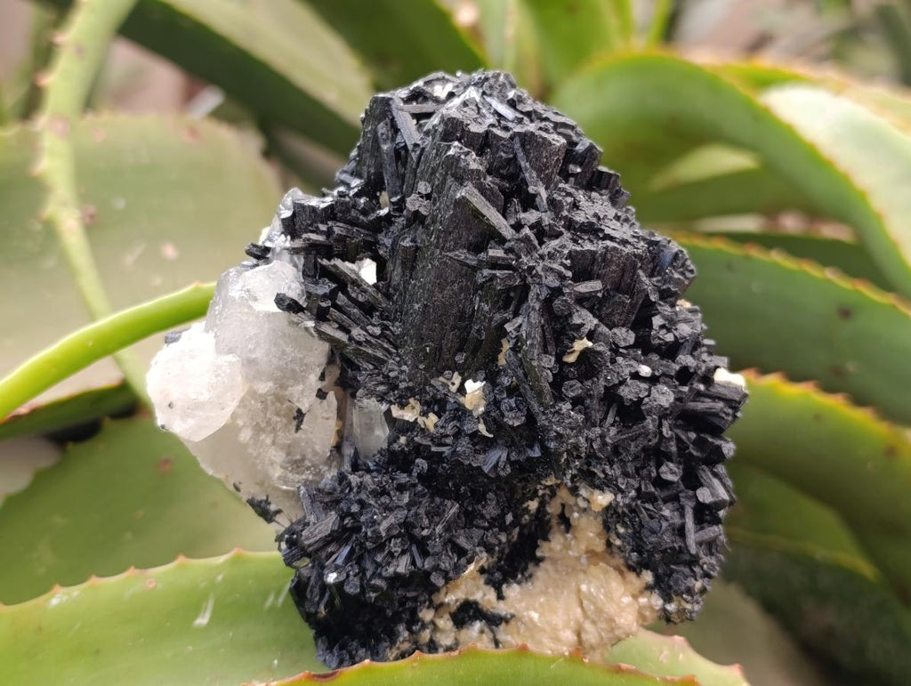 Natural Schorl Black Tourmaline with Vermiculite x 3 From Erongo, Namibia
