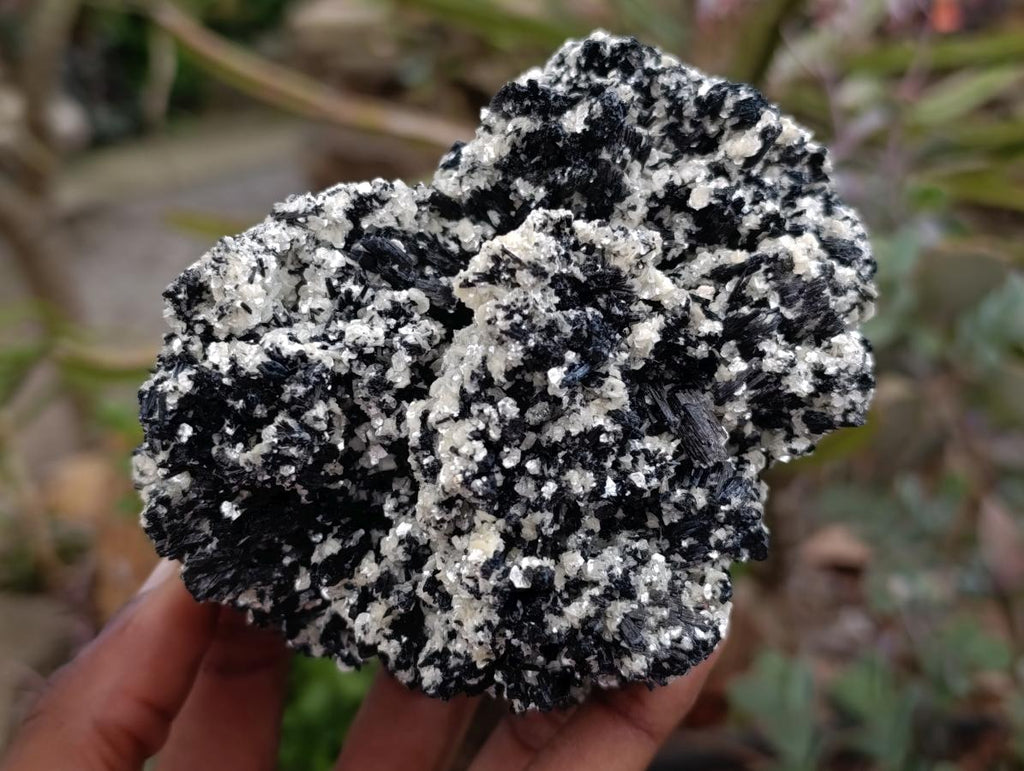 Natural Schorl Black Tourmaline with Vermiculite x 3 From Erongo, Namibia