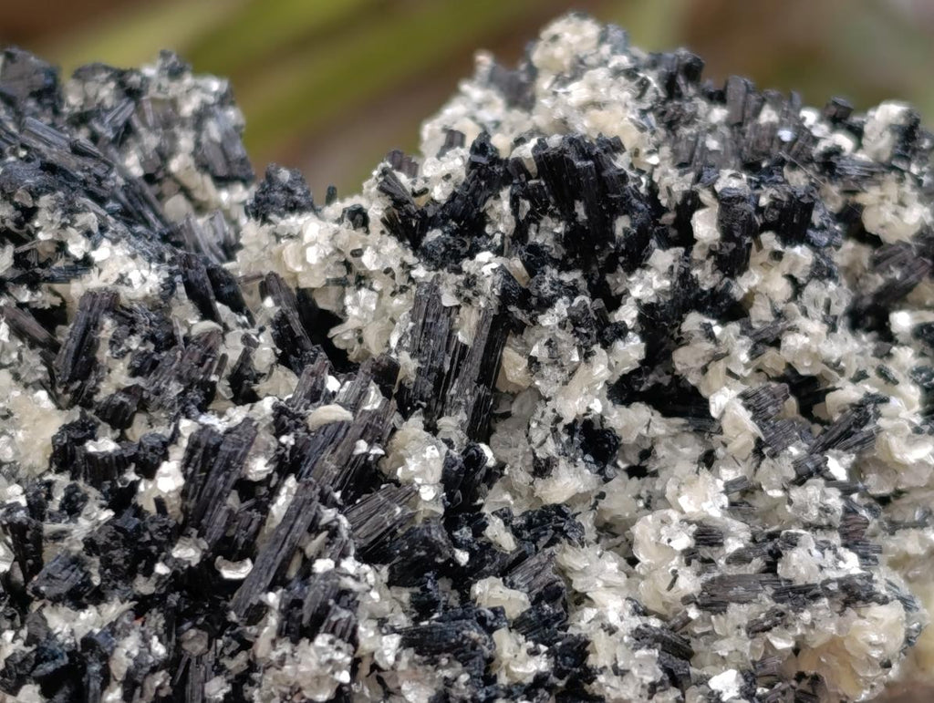 Natural Schorl Black Tourmaline with Vermiculite x 3 From Erongo, Namibia
