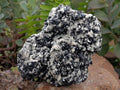 Natural Schorl Black Tourmaline with Vermiculite x 3 From Erongo, Namibia
