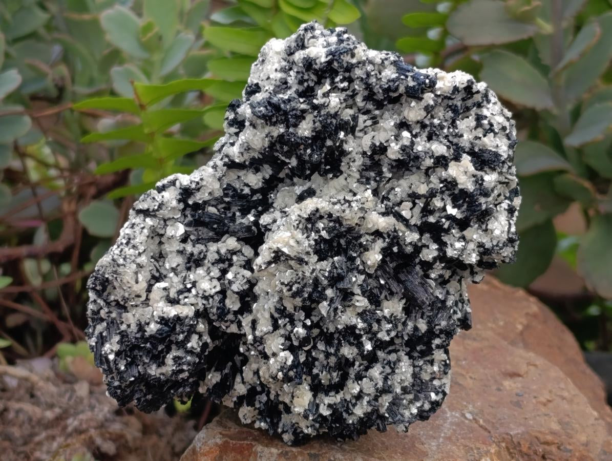 Natural Schorl Black Tourmaline with Vermiculite x 3 From Erongo, Namibia