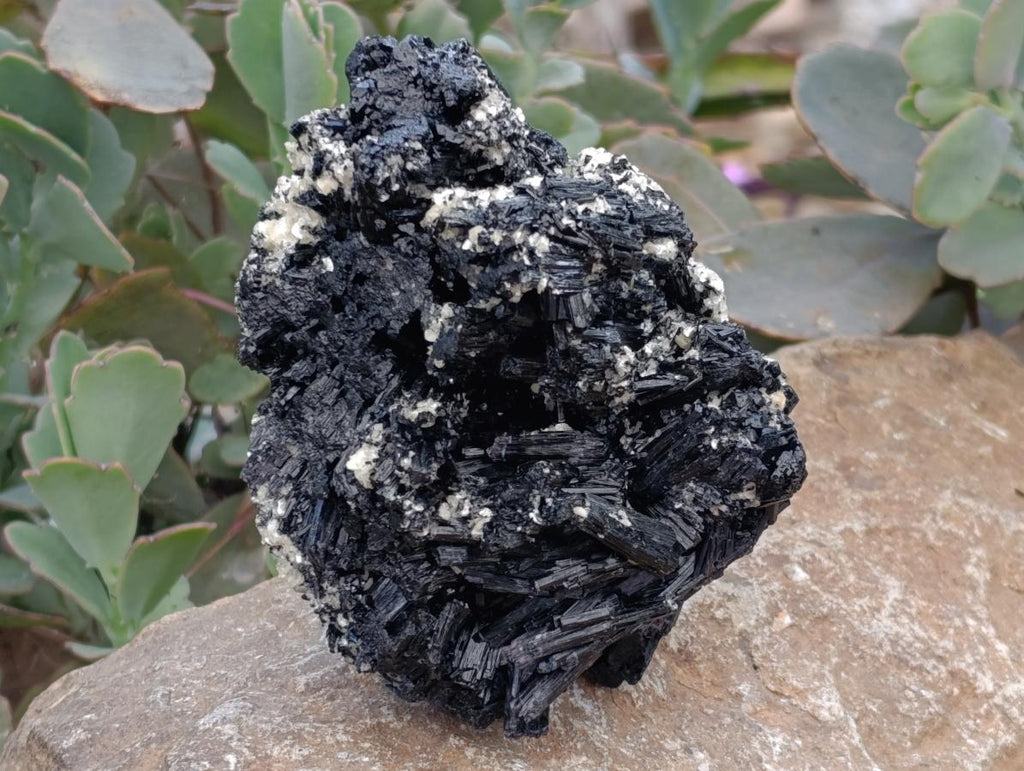 Natural Schorl Black Tourmaline with Vermiculite x 3 From Erongo, Namibia