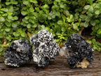 Natural Schorl Black Tourmaline with Vermiculite x 3 From Erongo, Namibia