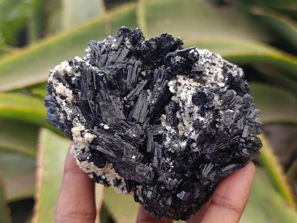 Natural Schorl Black Tourmaline with Vermiculite x 3 From Erongo, Namibia