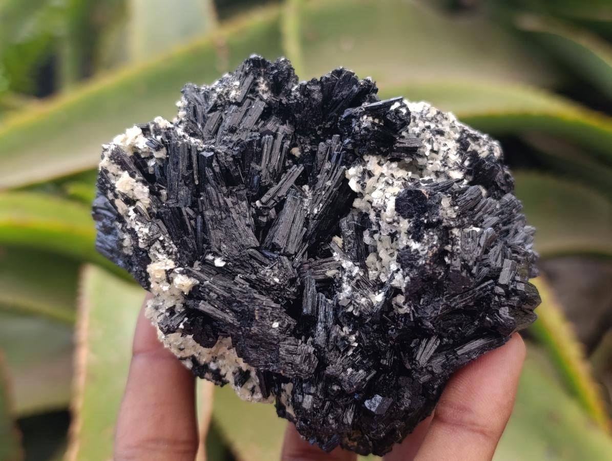 Natural Schorl Black Tourmaline with Vermiculite x 3 From Erongo, Namibia