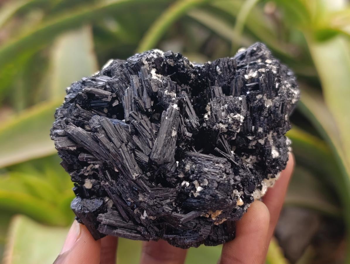 Natural Schorl Black Tourmaline with Vermiculite x 3 From Erongo, Namibia