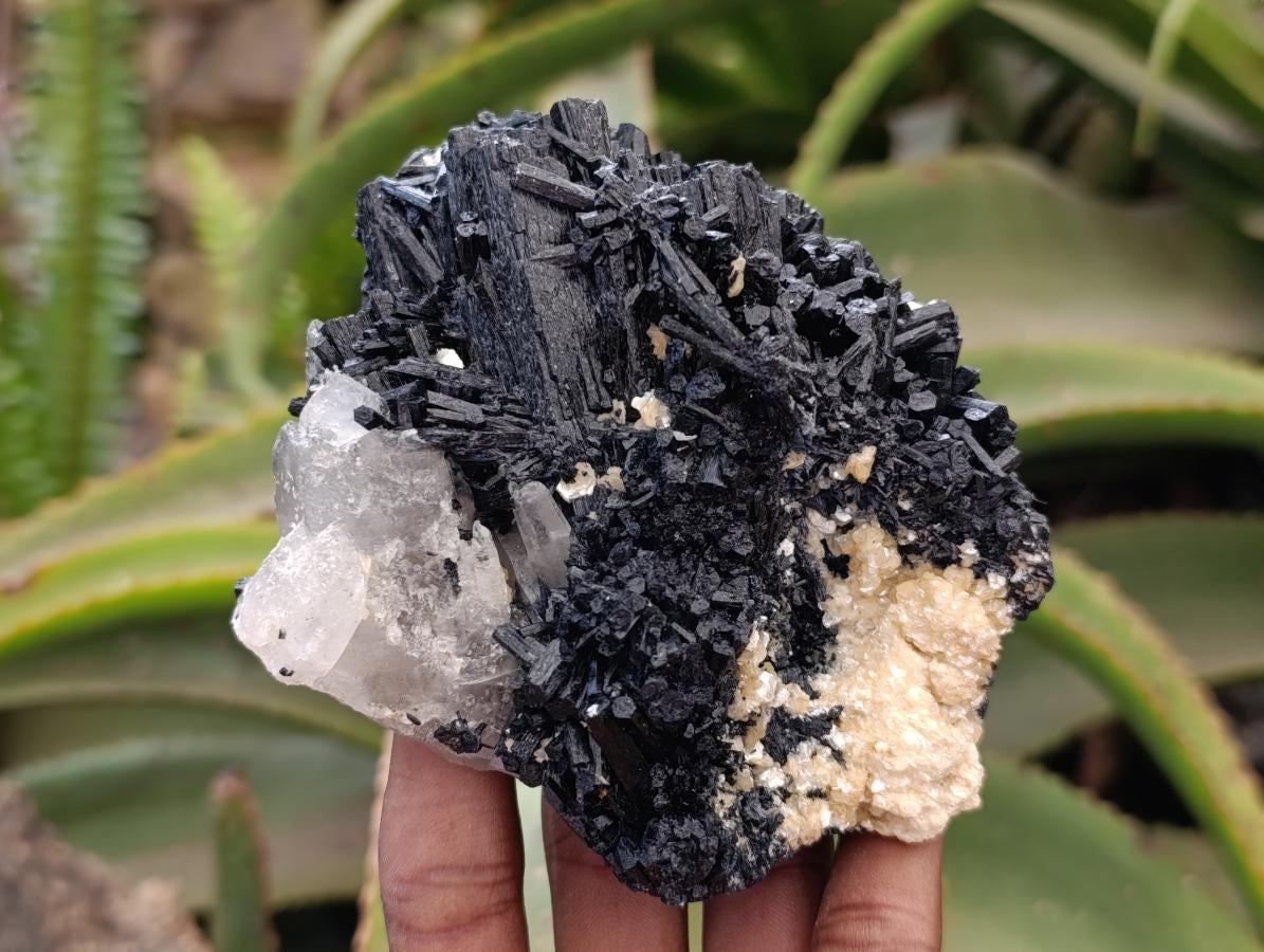 Natural Schorl Black Tourmaline with Vermiculite x 3 From Erongo, Namibia